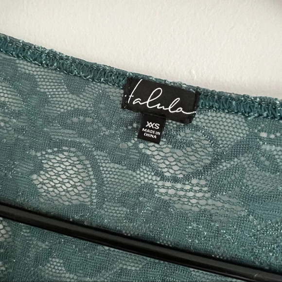 1 🧡 Aritzia Talula Sheer Lace Long Sleeve Dress - Picture 3 of 3